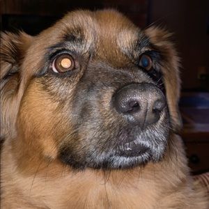 Meet your Posher, Meghan